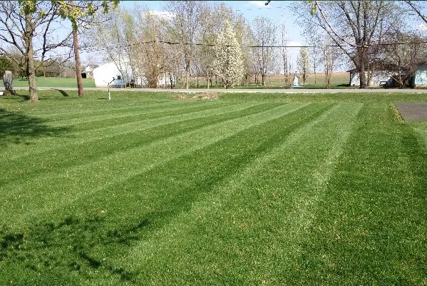 Reliable landscaping services for outdoor upgrades across Fairbury, IL - Pheasant Ridge Landscaping