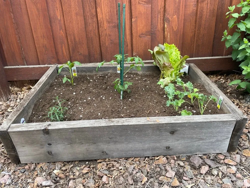 Affordable landscape installation for homes in Colorado Springs, CO by Phelan Gardens