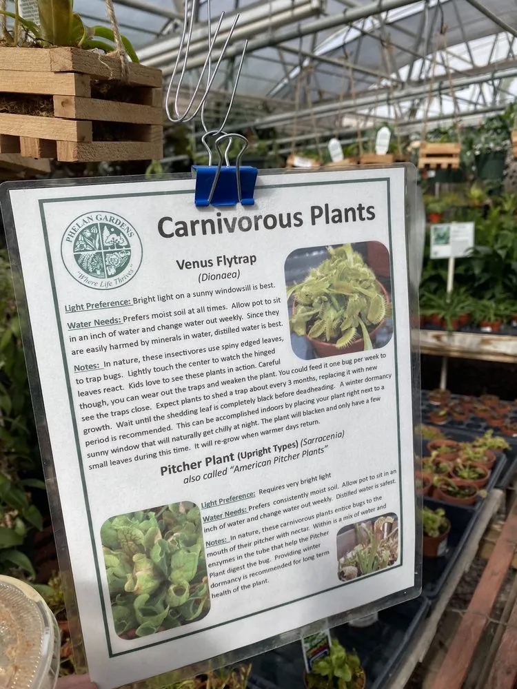 Top-rated landscape design in Colorado Springs, CO by Phelan Gardens