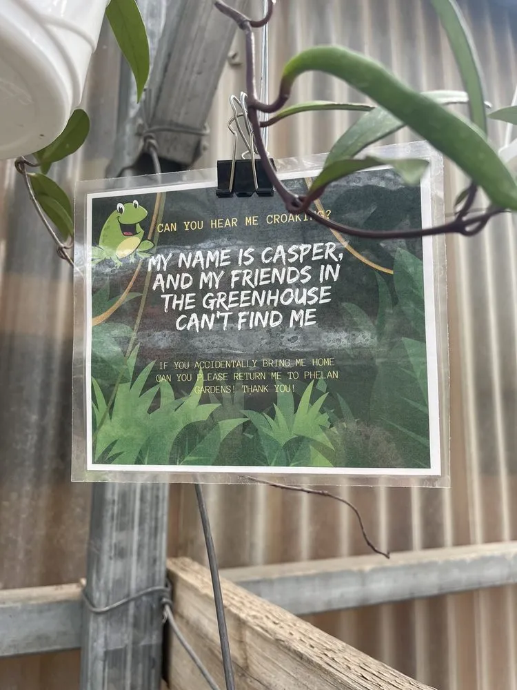 Top-rated yard maintenance in Colorado Springs, CO by Phelan Gardens