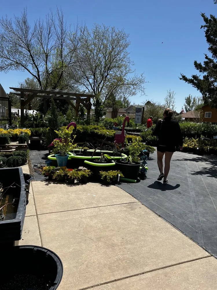 Affordable yard maintenance for outdoor upgrades in Colorado Springs, CO by Phelan Gardens