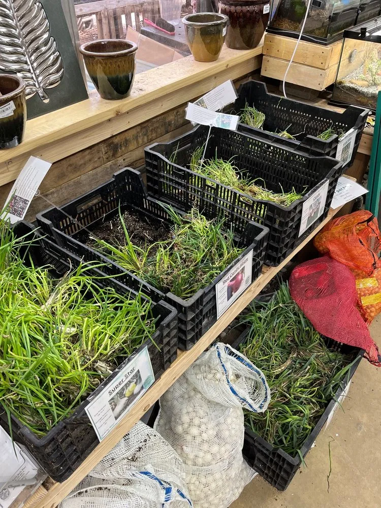 Top-rated lawn care service experts serving Colorado Springs, CO - Phelan Gardens