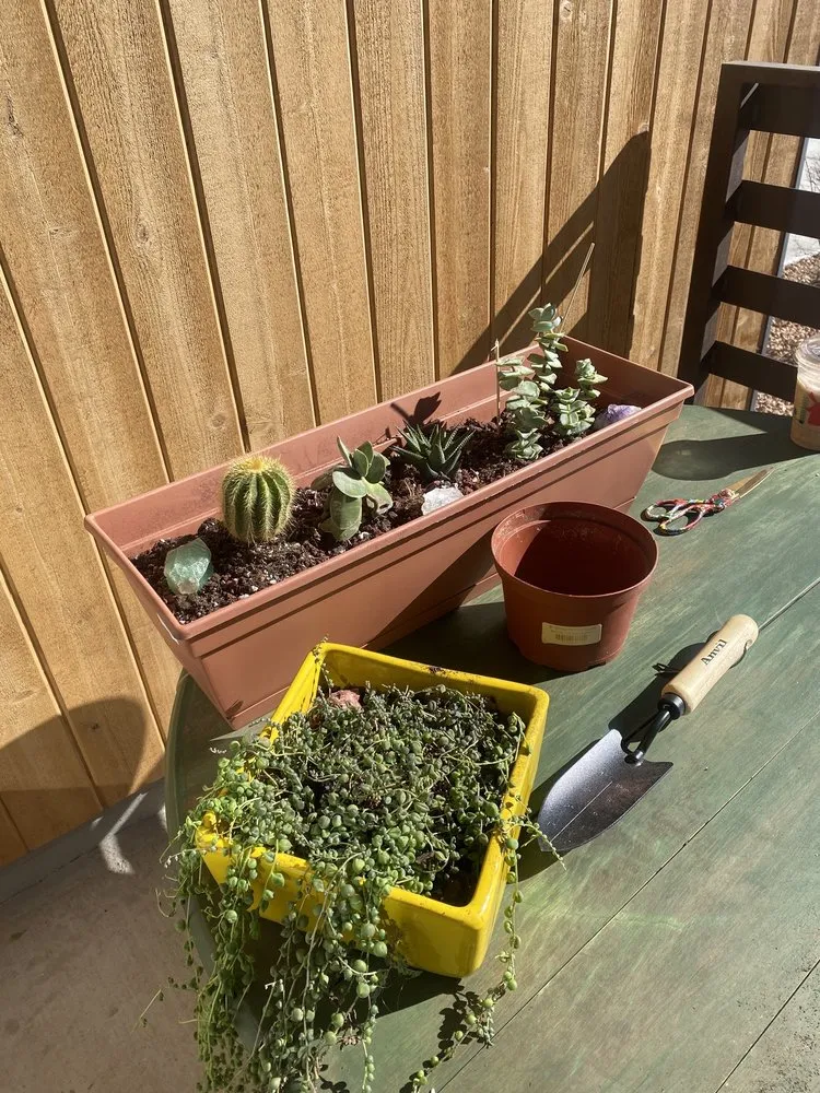 Custom lawn mowing service in Colorado Springs, CO by Phelan Gardens