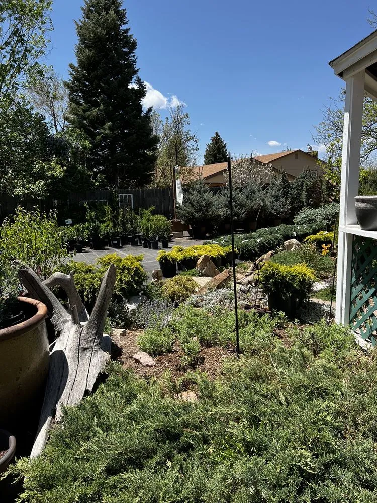 Top-rated lawn mowing service in Colorado Springs, CO - Phelan Gardens