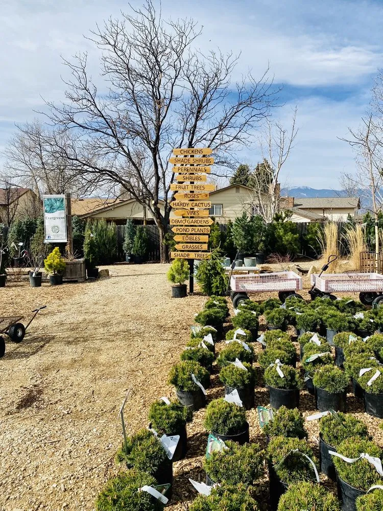 Top-rated landscape installation in Colorado Springs, CO - Phelan Gardens