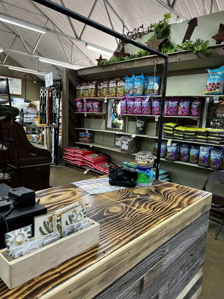 Professional landscape design in Colorado Springs, CO by Phelan Gardens