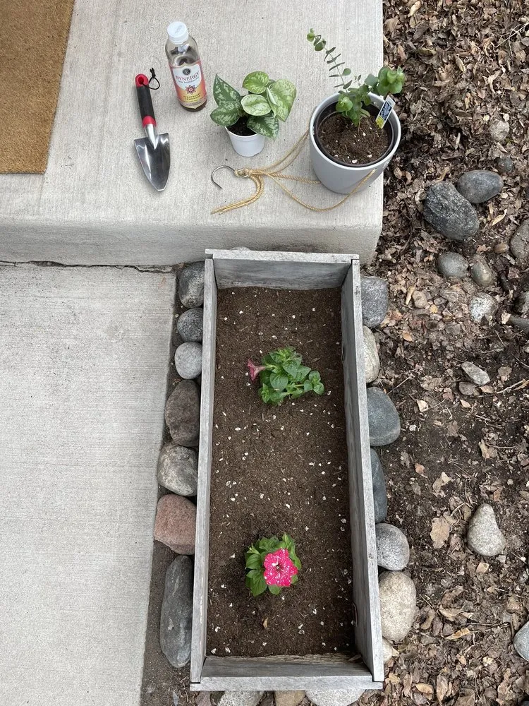 Local yard cleanup service experts serving Colorado Springs, CO - Phelan Gardens