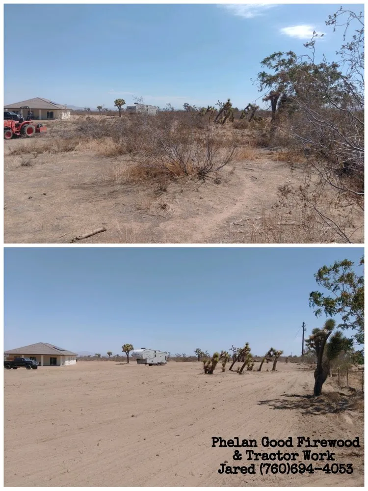 Professional yard cleanup service in Phelan, CA by Phelan Good Firewood