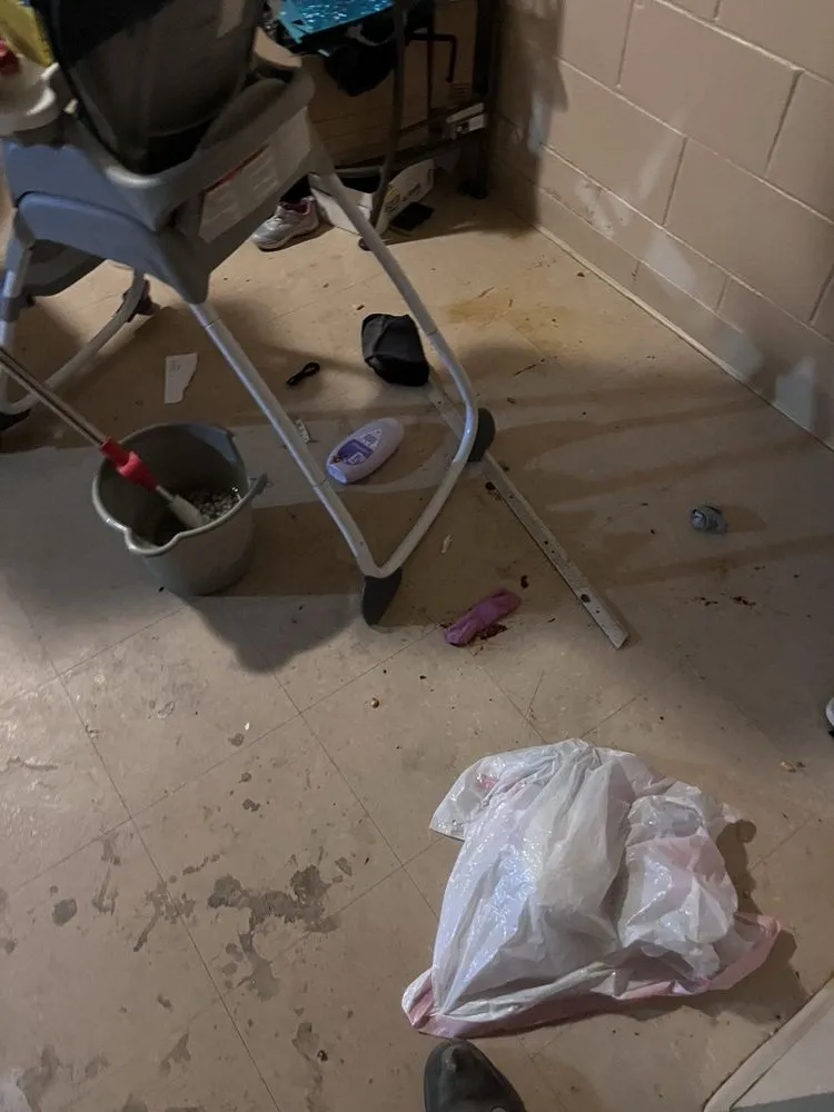 Professional garden landscaping for beautiful yards across Cincinnati, OH - Phelps Cleaning