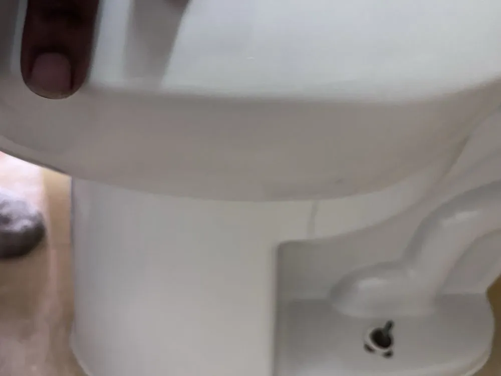 Professional yard cleanup service for year-round maintenance across Cincinnati, OH - Phelps Cleaning