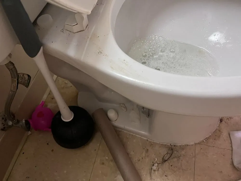 Custom landscaping services in Cincinnati, OH - Phelps Cleaning