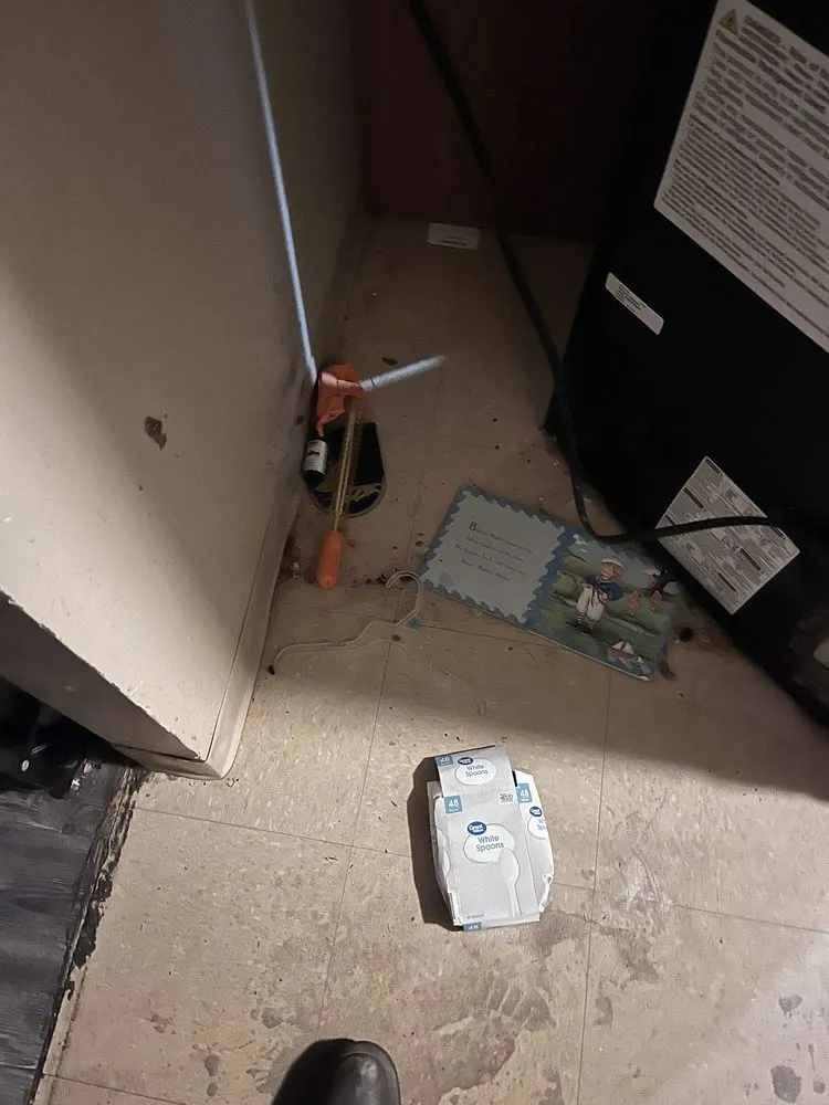 Professional yard cleanup service for residential properties in Cincinnati, OH by Phelps Cleaning