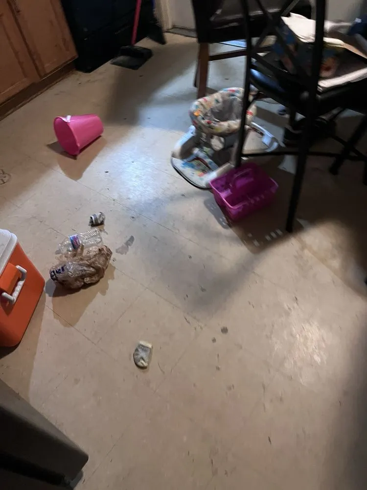 Professional garden landscaping experts serving Cincinnati, OH - Phelps Cleaning