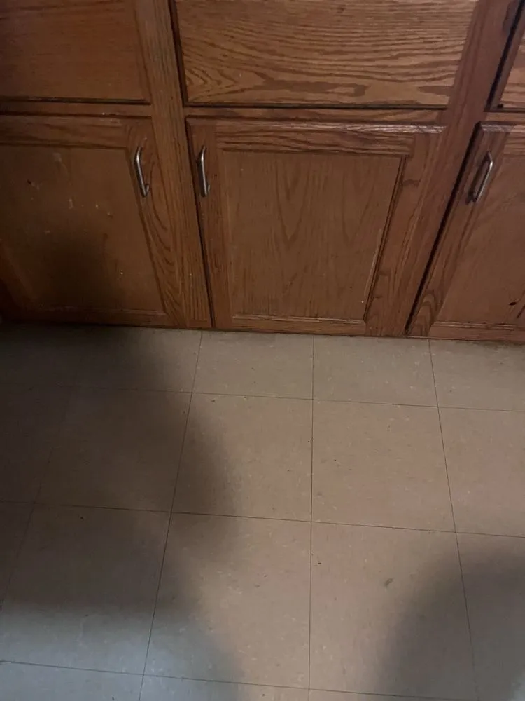 Reliable landscape installation for year-round maintenance in Cincinnati, OH by Phelps Cleaning