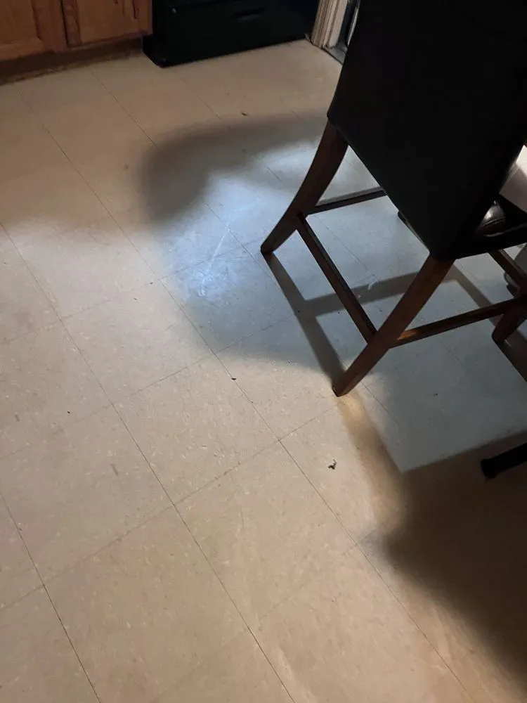 Reliable outdoor landscaping near you in Cincinnati, OH by Phelps Cleaning