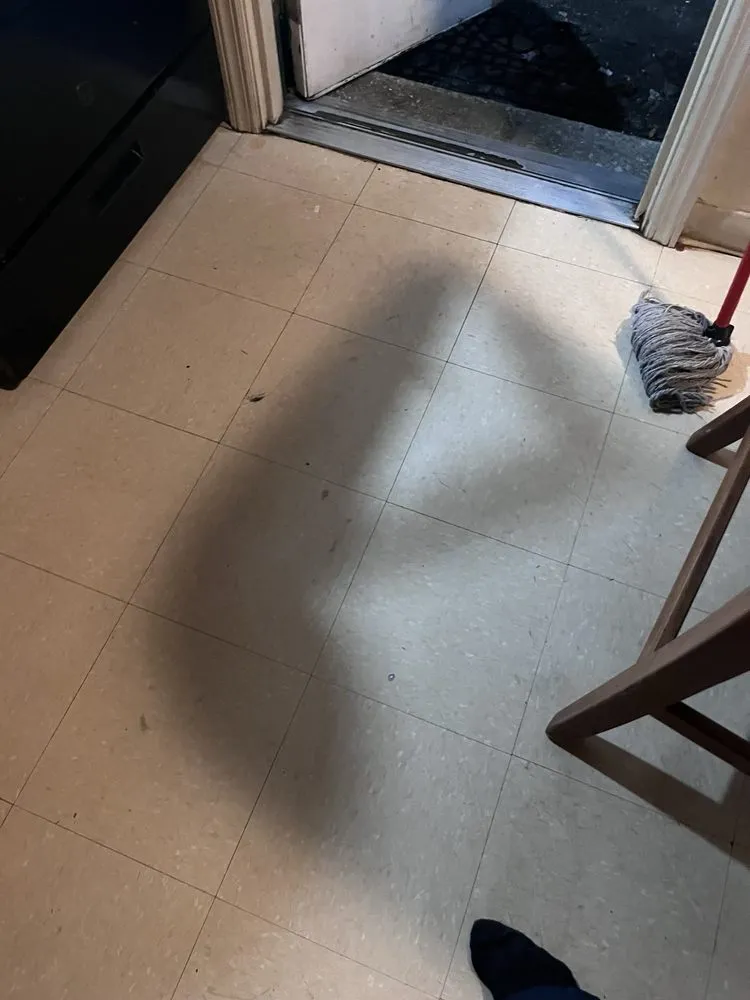 Trusted yard cleanup service in Cincinnati, OH by Phelps Cleaning