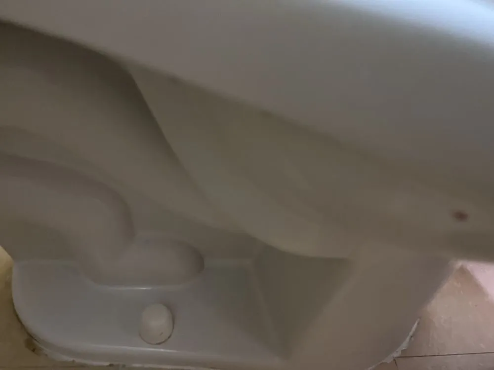 Expert yard cleanup service for year-round maintenance across Cincinnati, OH - Phelps Cleaning