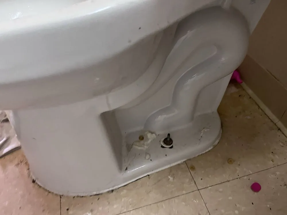 Expert landscaping services in Cincinnati, OH by Phelps Cleaning