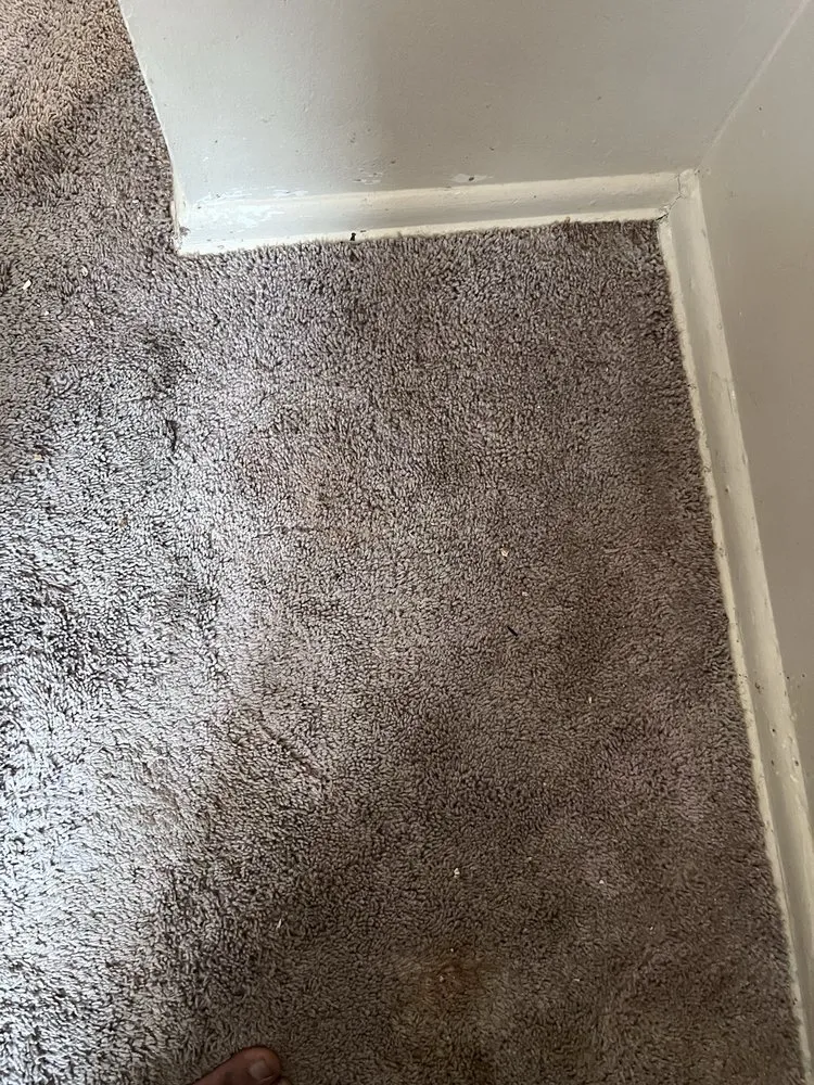 Affordable garden landscaping in Cincinnati, OH by Phelps Cleaning