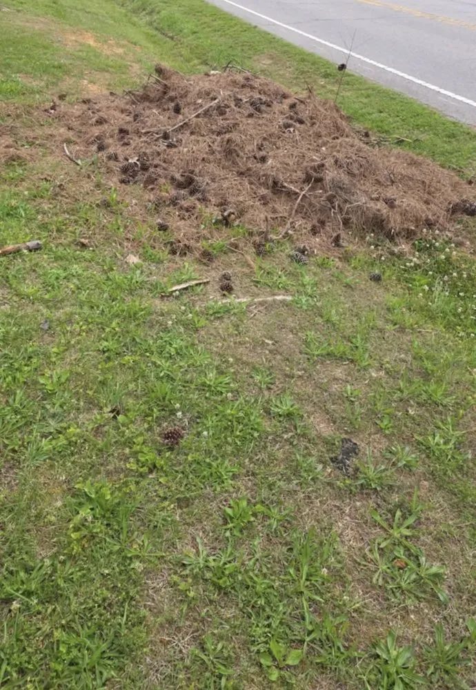 Affordable yard maintenance in Roxboro, NC - Phelps Enterprises