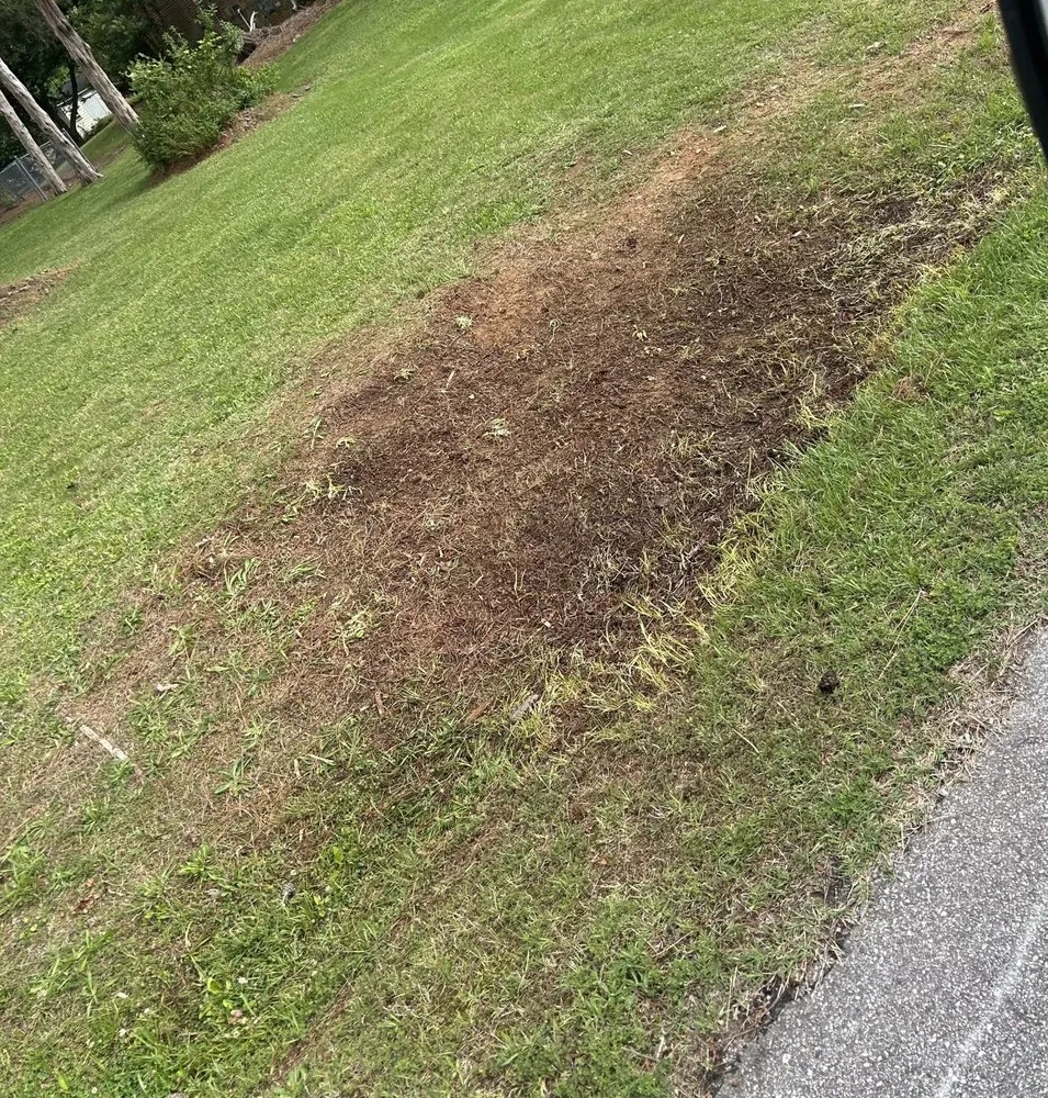 Reliable yard cleanup service for year-round maintenance across Roxboro, NC - Phelps Enterprises