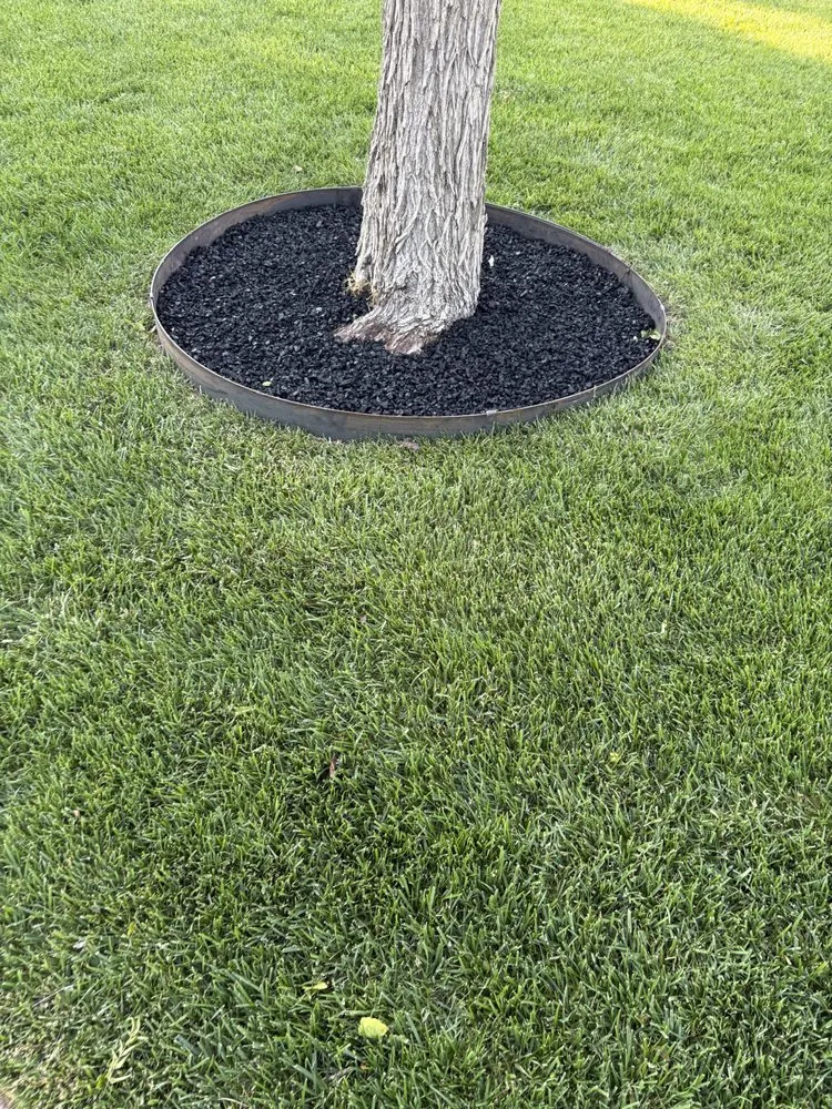 Affordable yard cleanup service for year-round maintenance in Canyon, TX by Phelps Fence and landscape