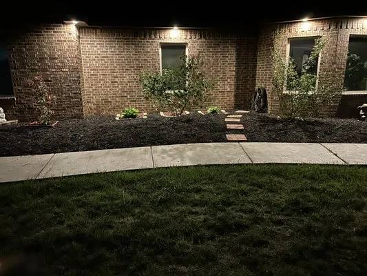 Phelps Fence and landscape