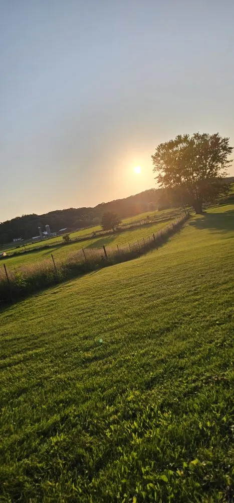 Trusted landscape design in Mount Carroll, IL by Phelps Lawn Care