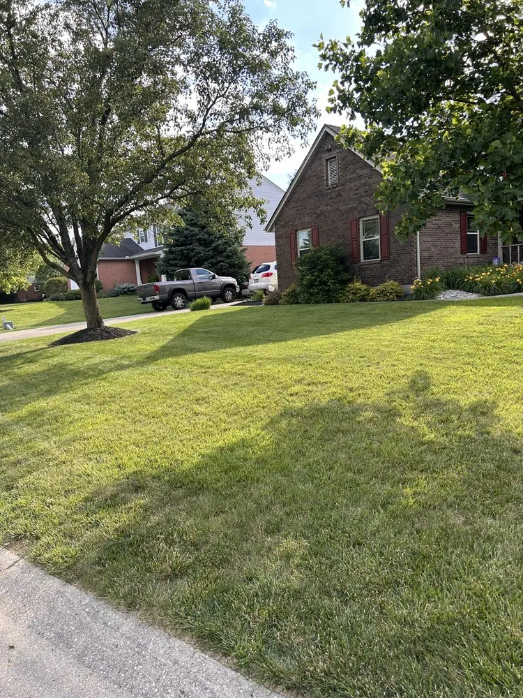 Expert residential landscaping in Hamilton, OH - Phelps Property Solutions