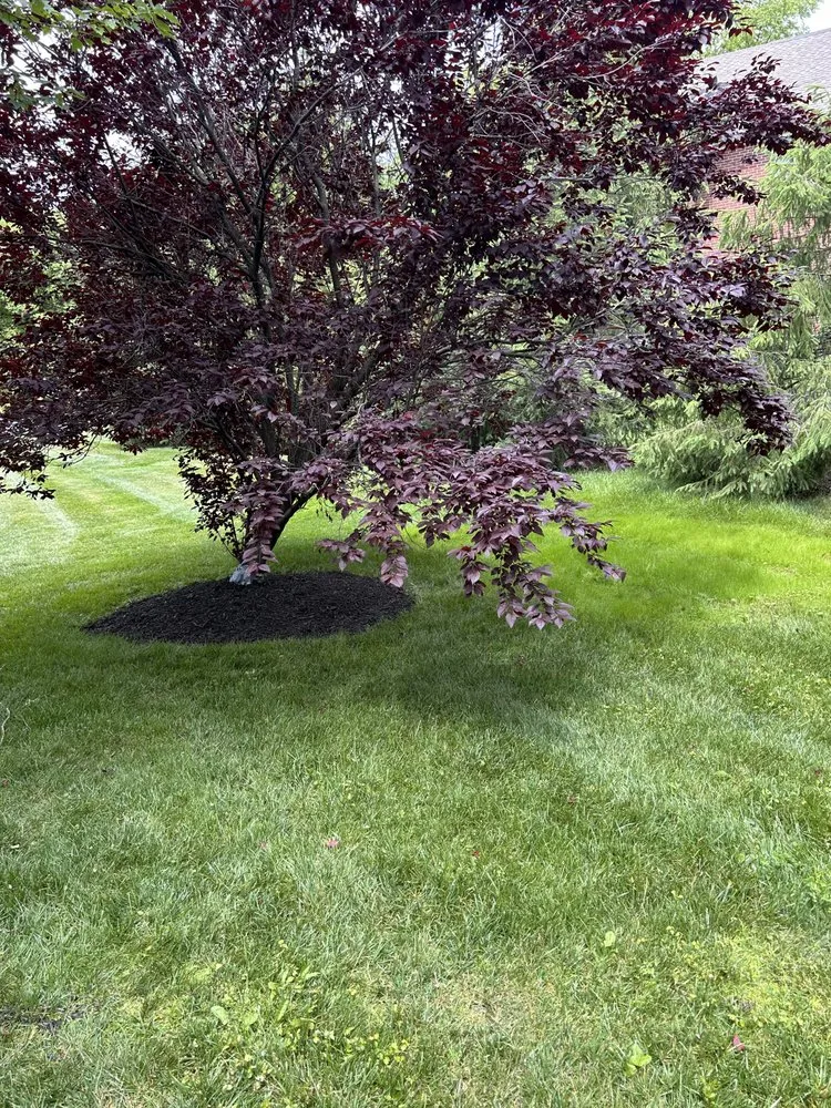 Trusted lawn mowing service for beautiful yards across Hamilton, OH - Phelps Property Solutions