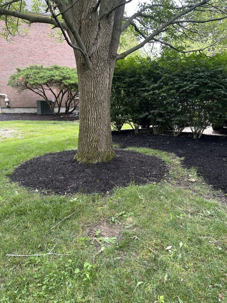 Expert garden landscaping experts serving Hamilton, OH - Phelps Property Solutions
