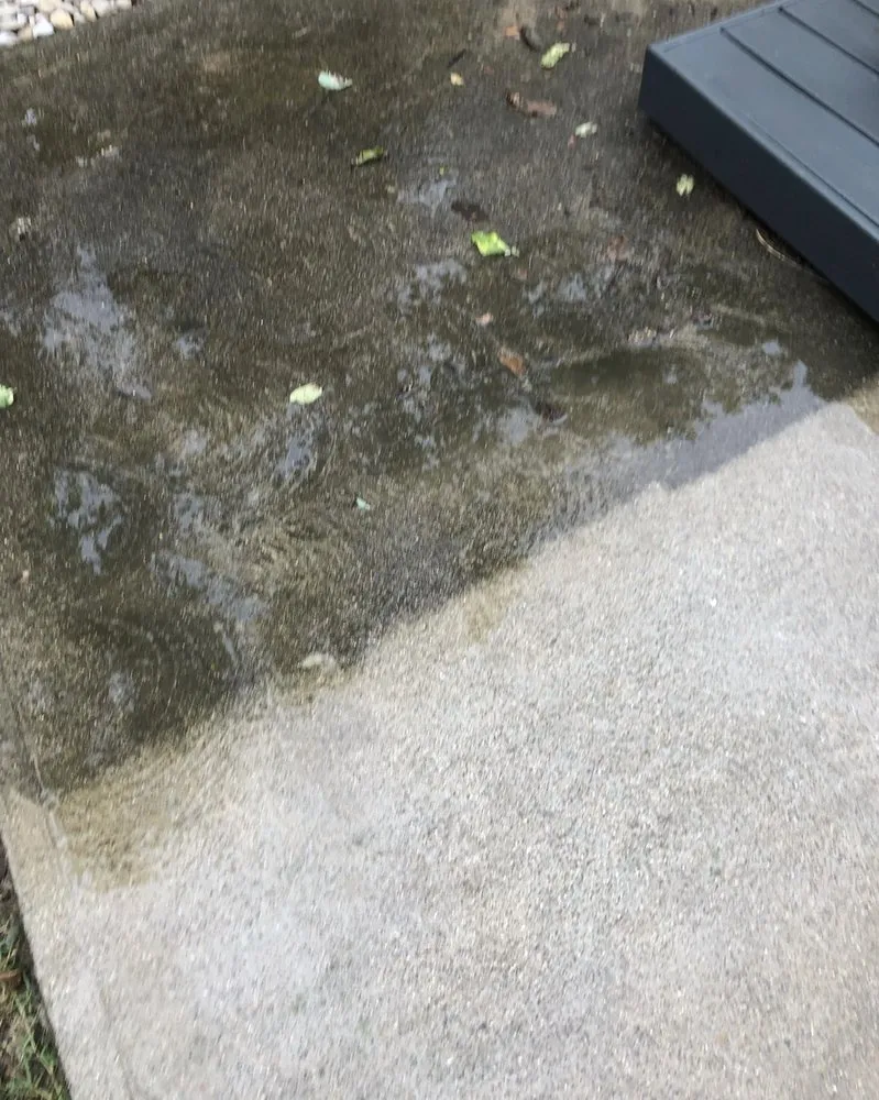 Professional residential landscaping for year-round maintenance in Hamilton, OH by Phelps Property Solutions