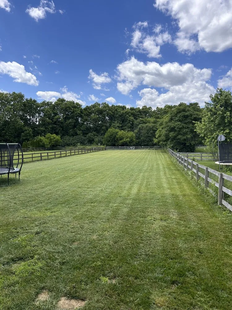 Reliable yard cleanup service in Hamilton, OH by Phelps Property Solutions