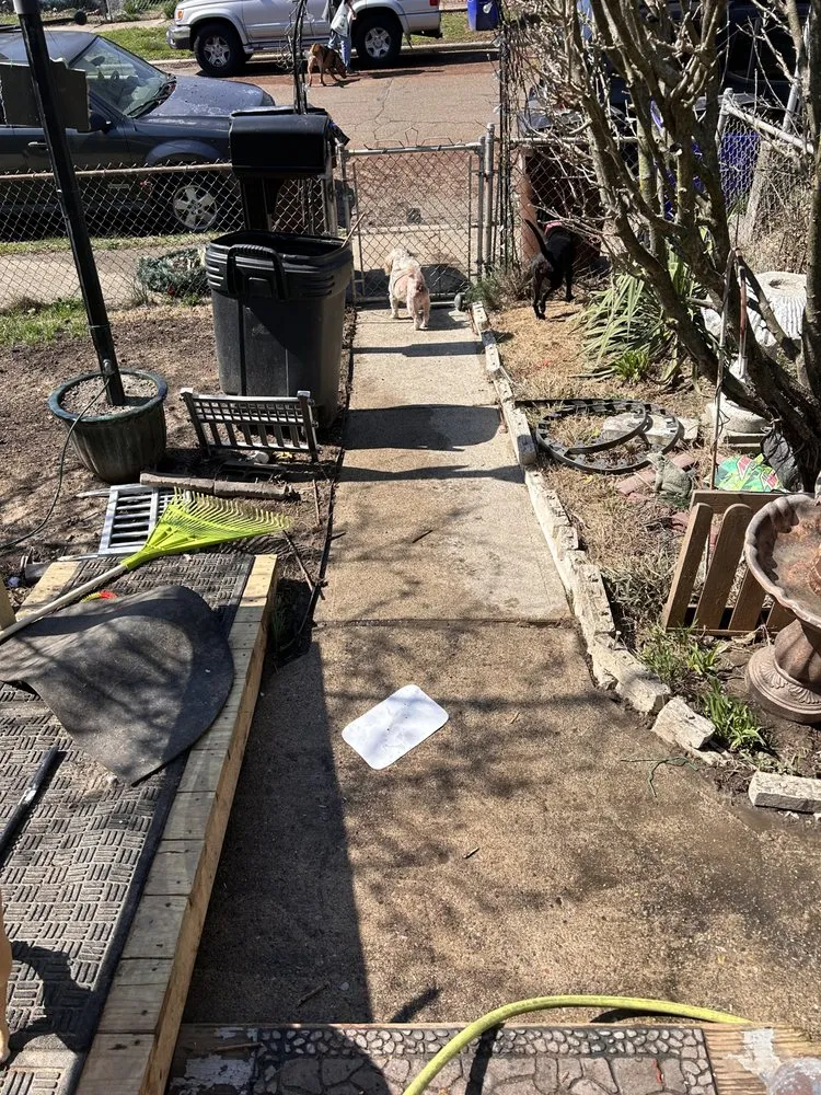 Expert lawn care service experts serving Hamilton, OH - Phelps Property Solutions