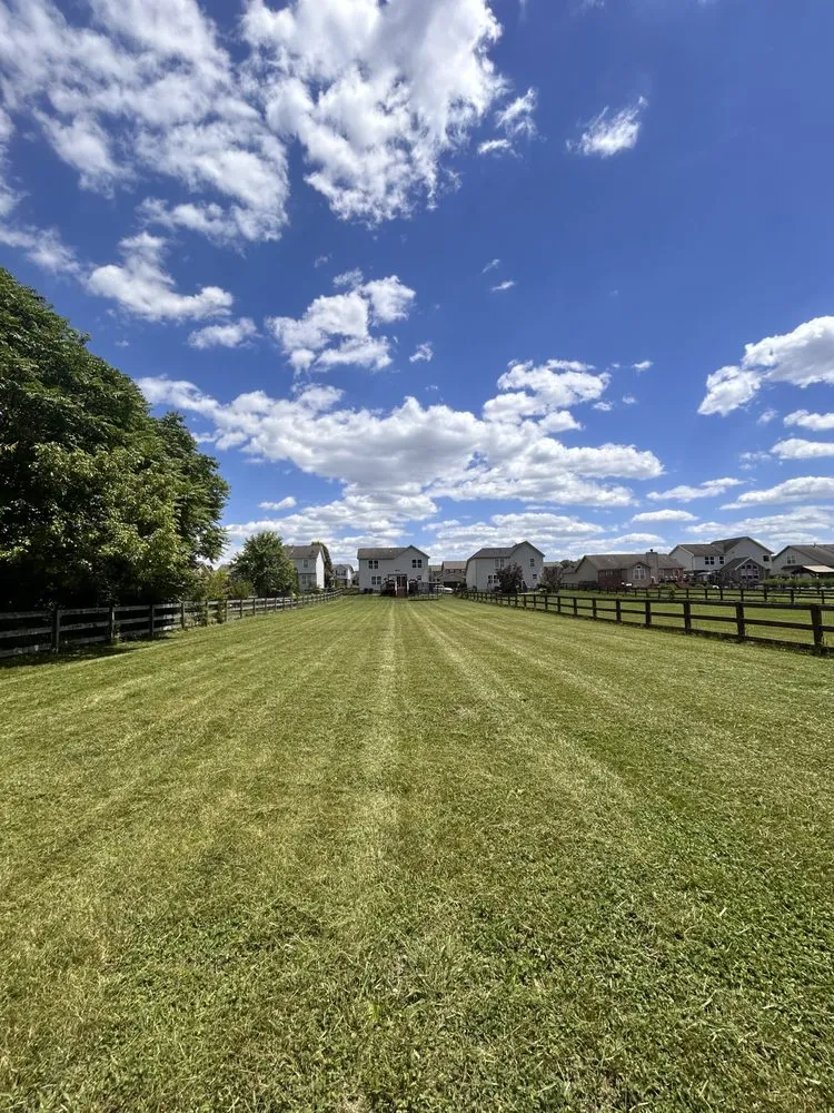 Expert yard cleanup service with custom design across Hamilton, OH - Phelps Property Solutions