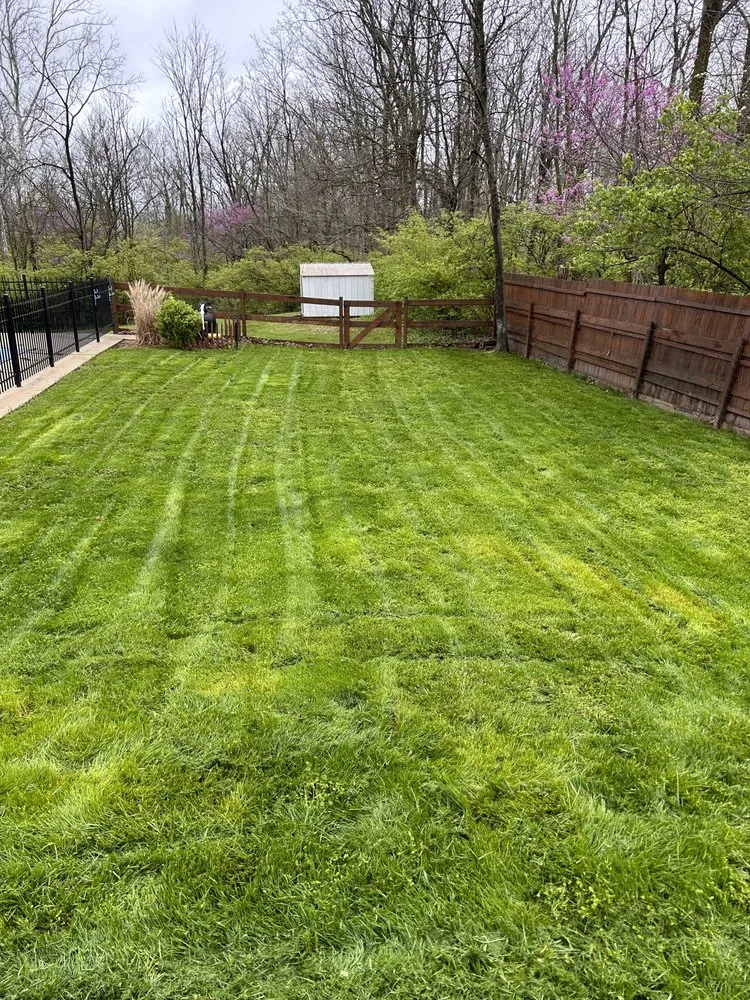 Top-rated yard maintenance in Hamilton, OH by Phelps Property Solutions