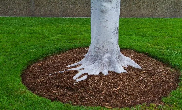 Expert lawn mowing service experts serving Phenix City, AL - Phenix Pine Straw