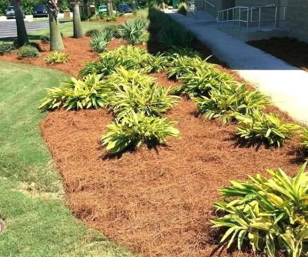 Expert landscape design experts serving Phenix City, AL - Phenix Pine Straw