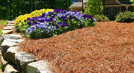 Affordable yard cleanup service in Phenix City, AL by Phenix Pine Straw