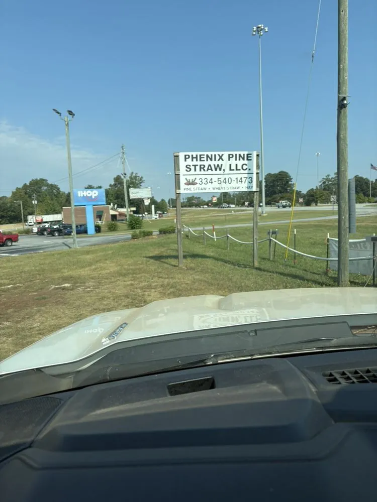 Expert yard cleanup service for outdoor upgrades in Phenix City, AL by Phenix Pine Straw