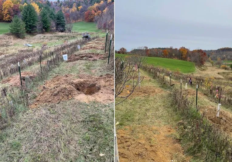 Professional lawn care service for beautiful yards in Tomah, WI by Phenomelawn