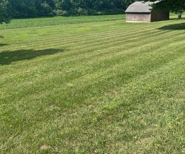 Reliable lawn mowing service in Tomah, WI by Phenomelawn