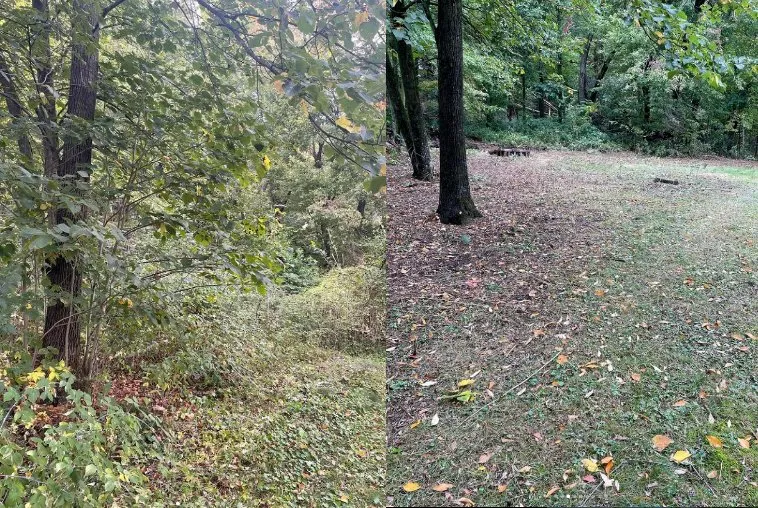 Local lawn care service for homes in Tomah, WI by Phenomelawn