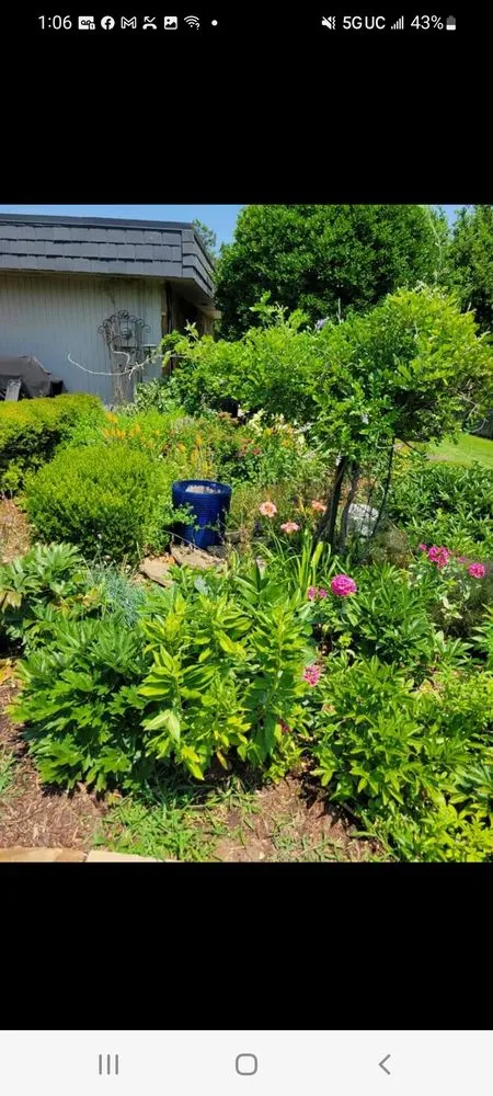 Top-rated landscaping services for outdoor upgrades in Edmond, OK by Phenomenal Lawns and Gardens