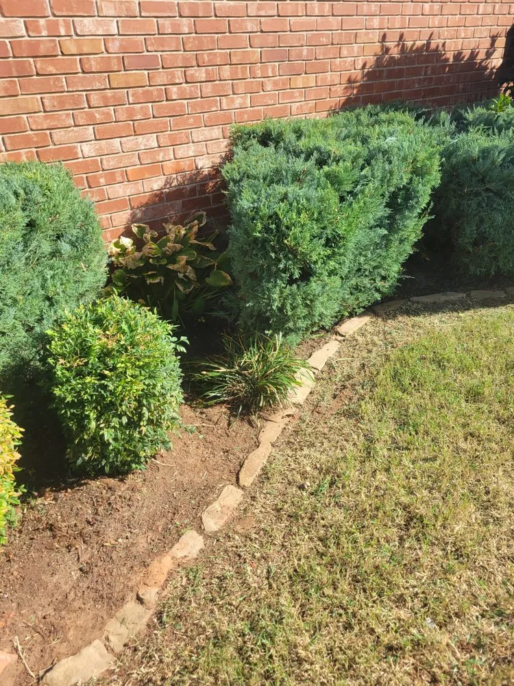 Local lawn care service experts serving Edmond, OK - Phenomenal Lawns and Gardens