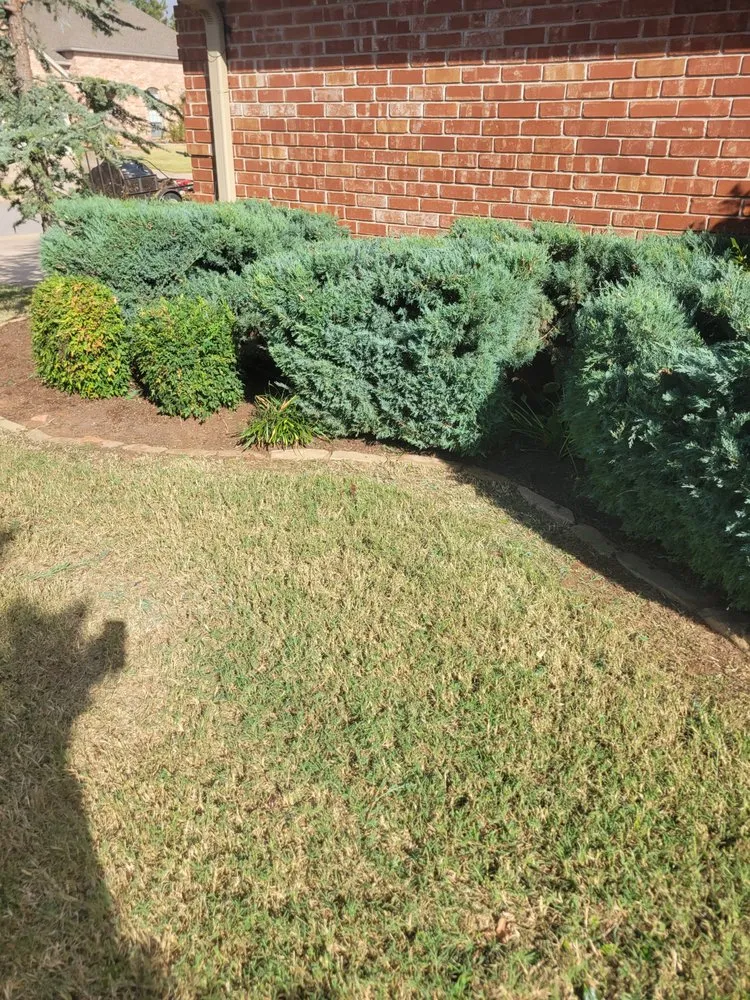 Affordable lawn care service in Edmond, OK - Phenomenal Lawns and Gardens