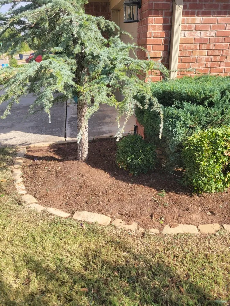 Custom yard maintenance experts serving Edmond, OK - Phenomenal Lawns and Gardens