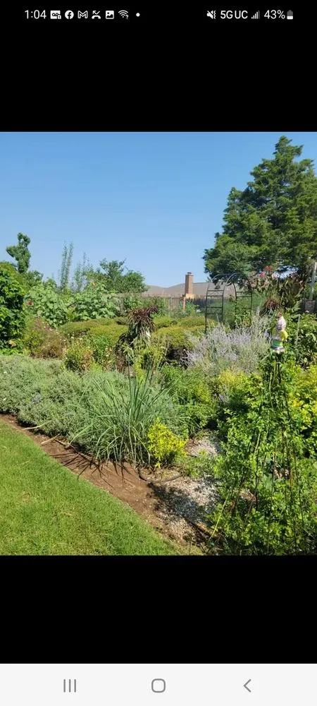 Expert landscaping services experts serving Edmond, OK - Phenomenal Lawns and Gardens