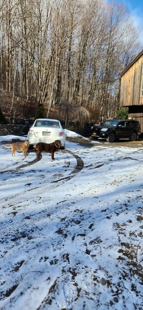 Local yard cleanup service in Roxbury, NY - Phil & Nick Finch Landsculpturing