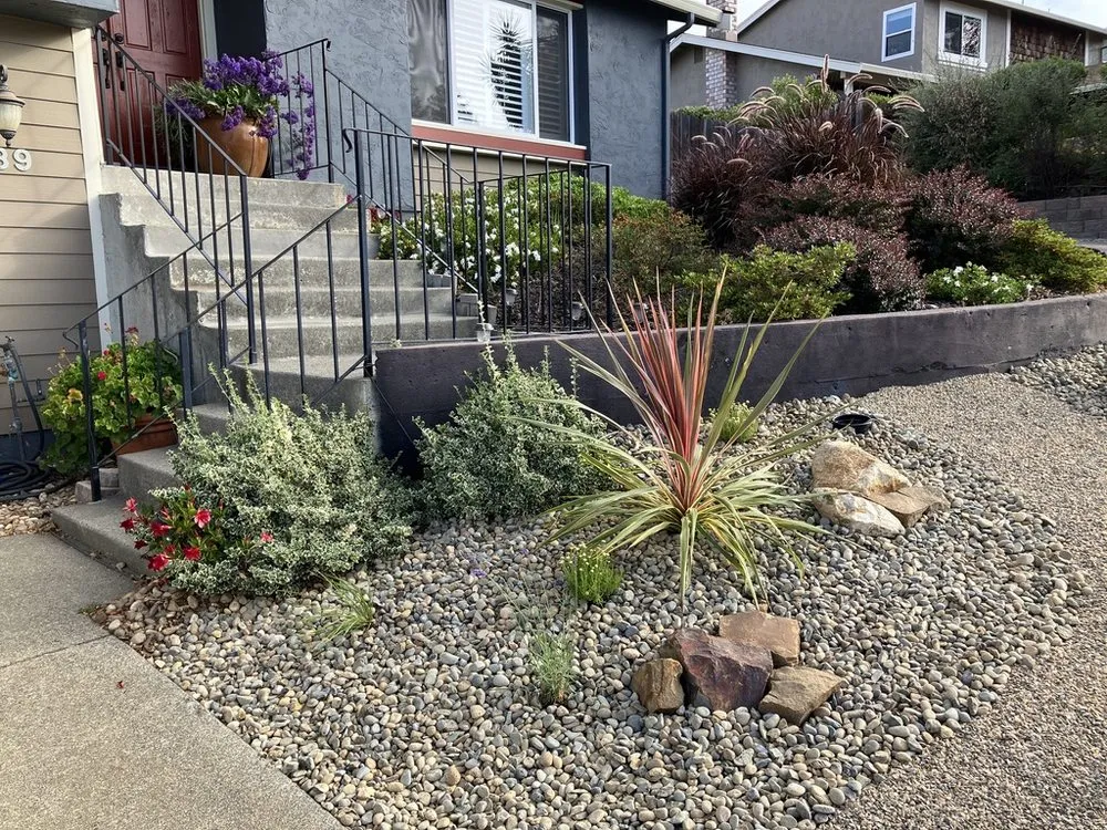 Professional outdoor landscaping with custom design in Dixon, CA by Phil Gray Landscaping & Construction